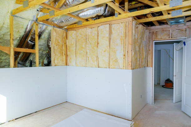 Best Insulation Contractors for Homes  in Amery, WI