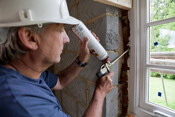 Best Local Insulation Services  in Amery, WI